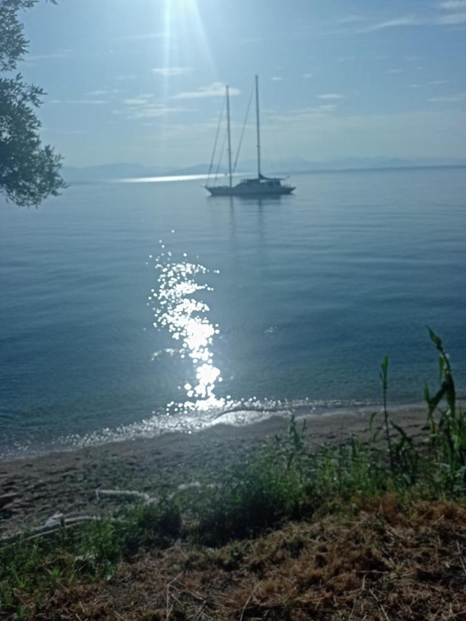 Corfu Bay Sea View Apartments 100M From The Beach Benitses  Ngoại thất bức ảnh